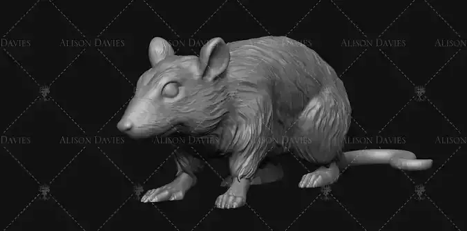 Rat on all fours 3D print model