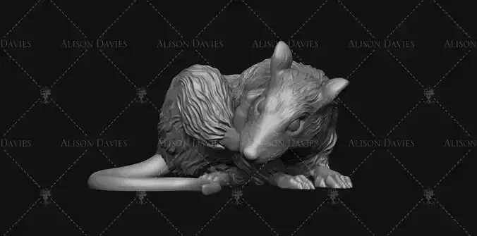 Rat Scratching 3d Print Model