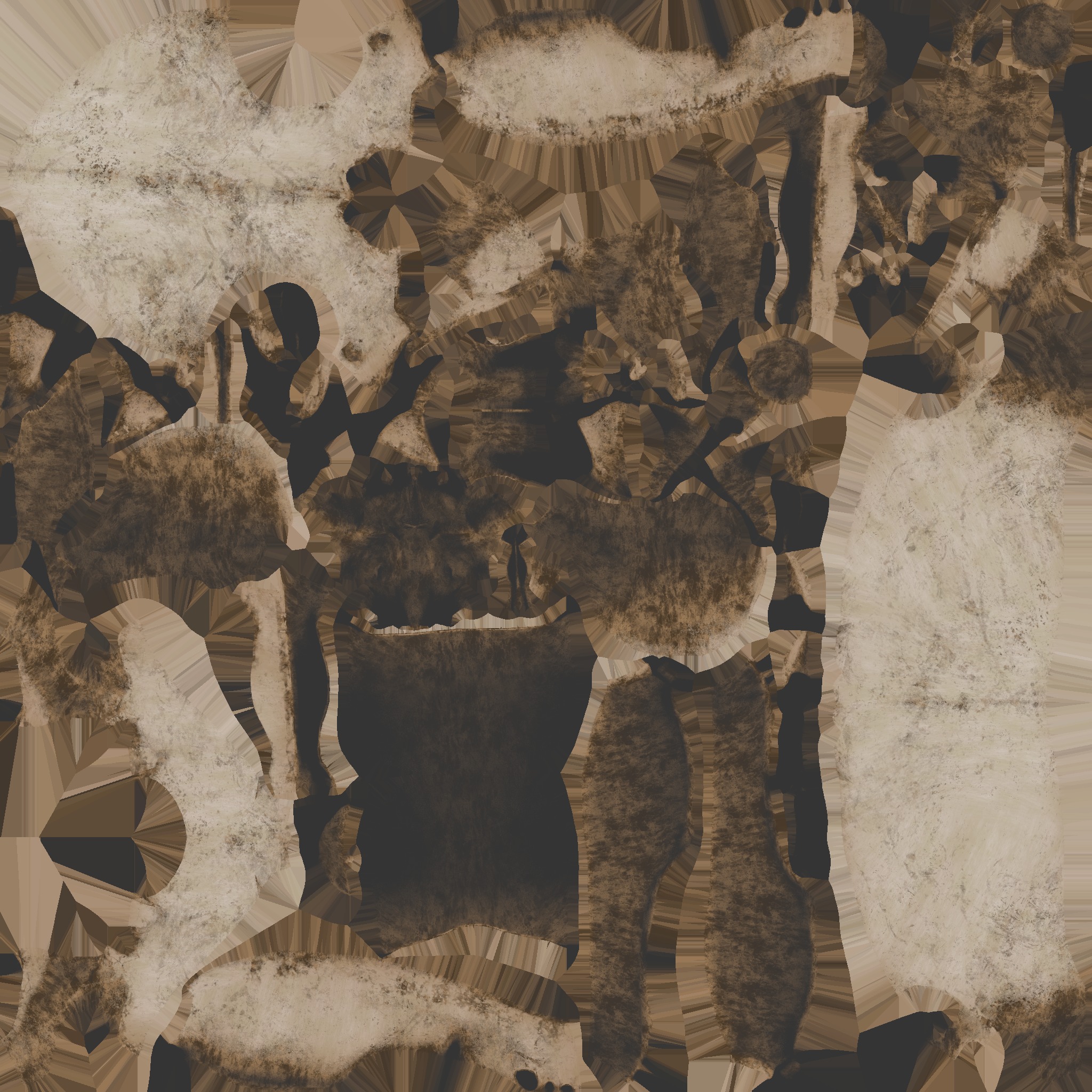 vampire bat skull 3D model_7