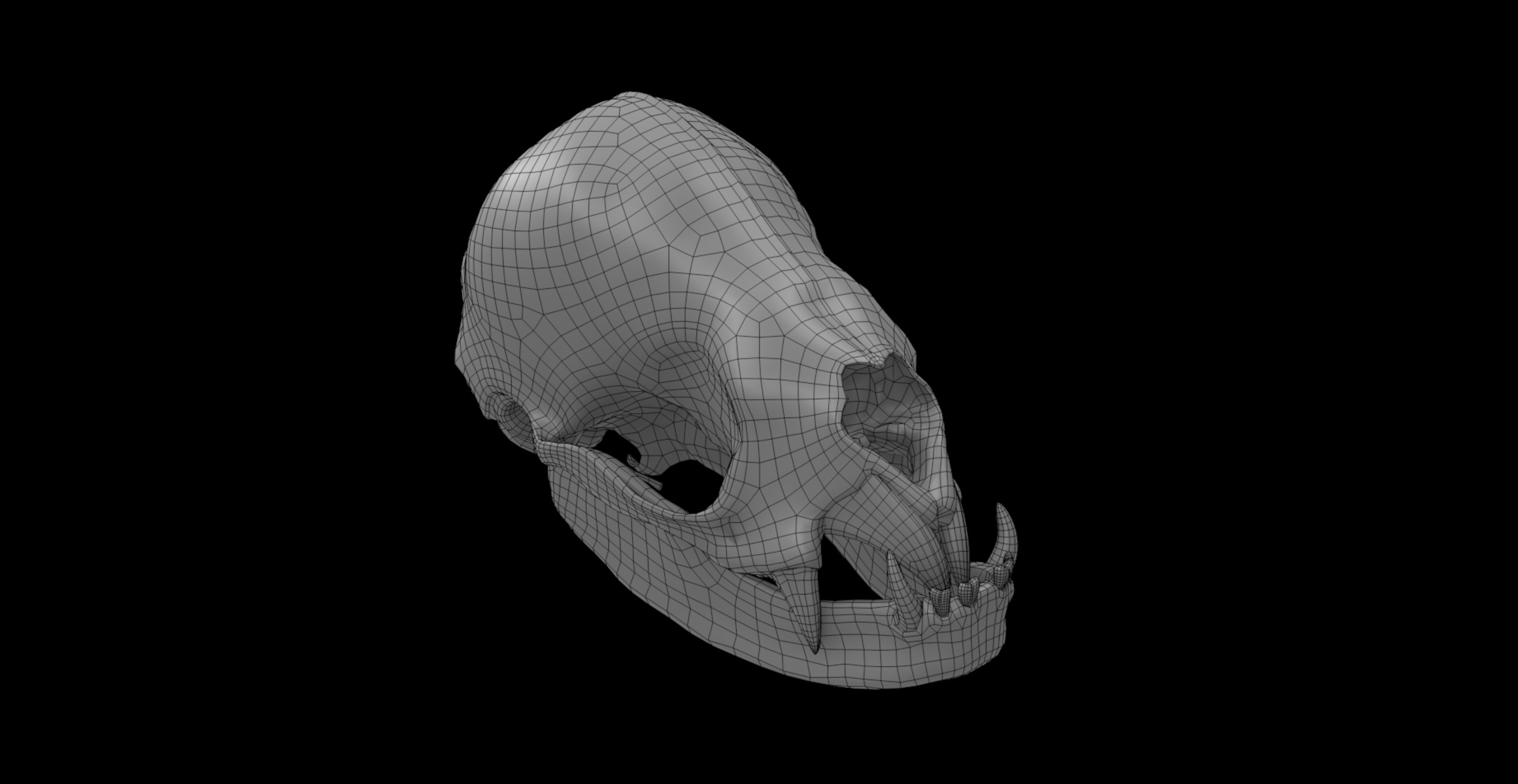 vampire bat skull 3D model_6