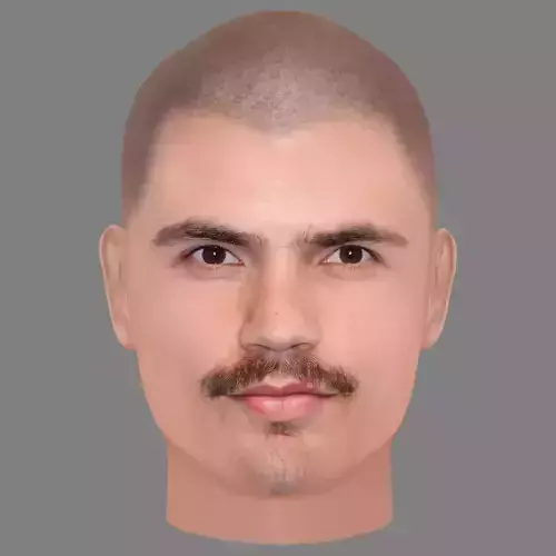 Hugo Diego Garcia Head - Low poly head for game