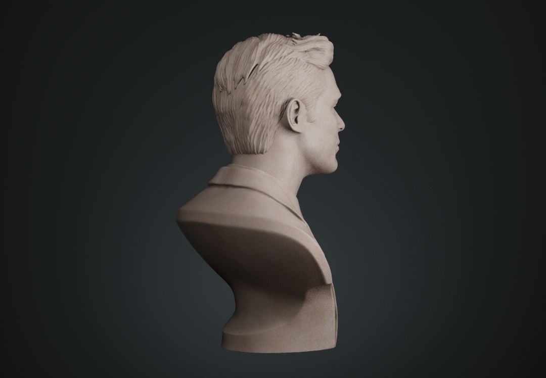 Zac Efron Bust 3D print model_9