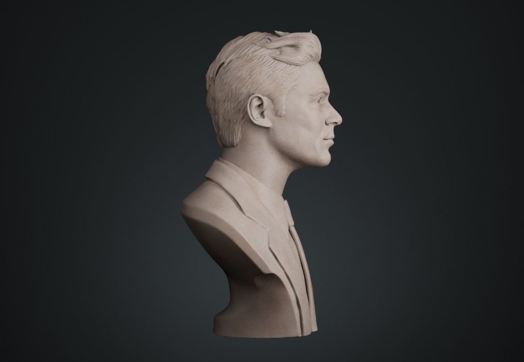 Zac Efron Bust 3D print model_8