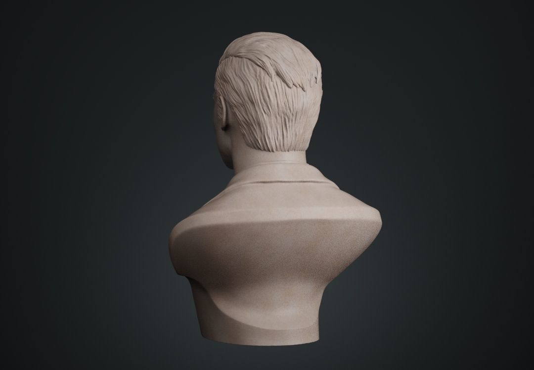 Zac Efron Bust 3D print model_12