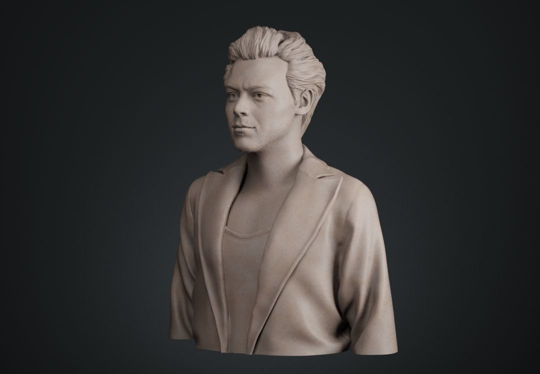 Harry Styles Bust 3D print model_4