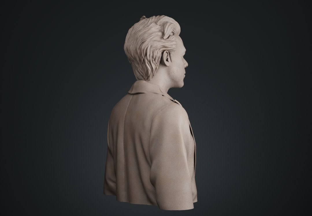 Harry Styles Bust 3D print model_9