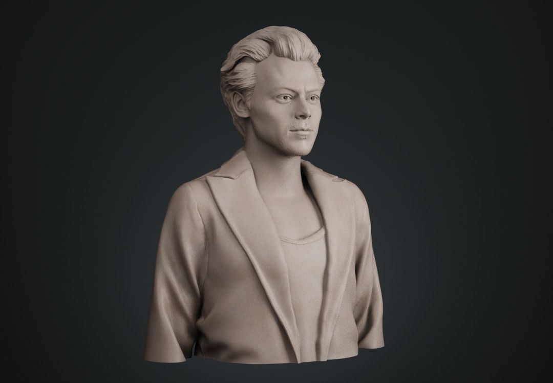 Harry Styles Bust 3D print model_6