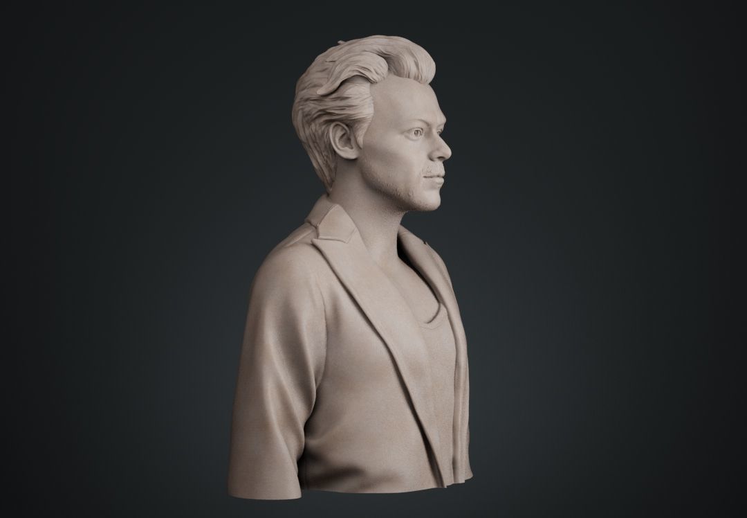 Harry Styles Bust 3D print model_7