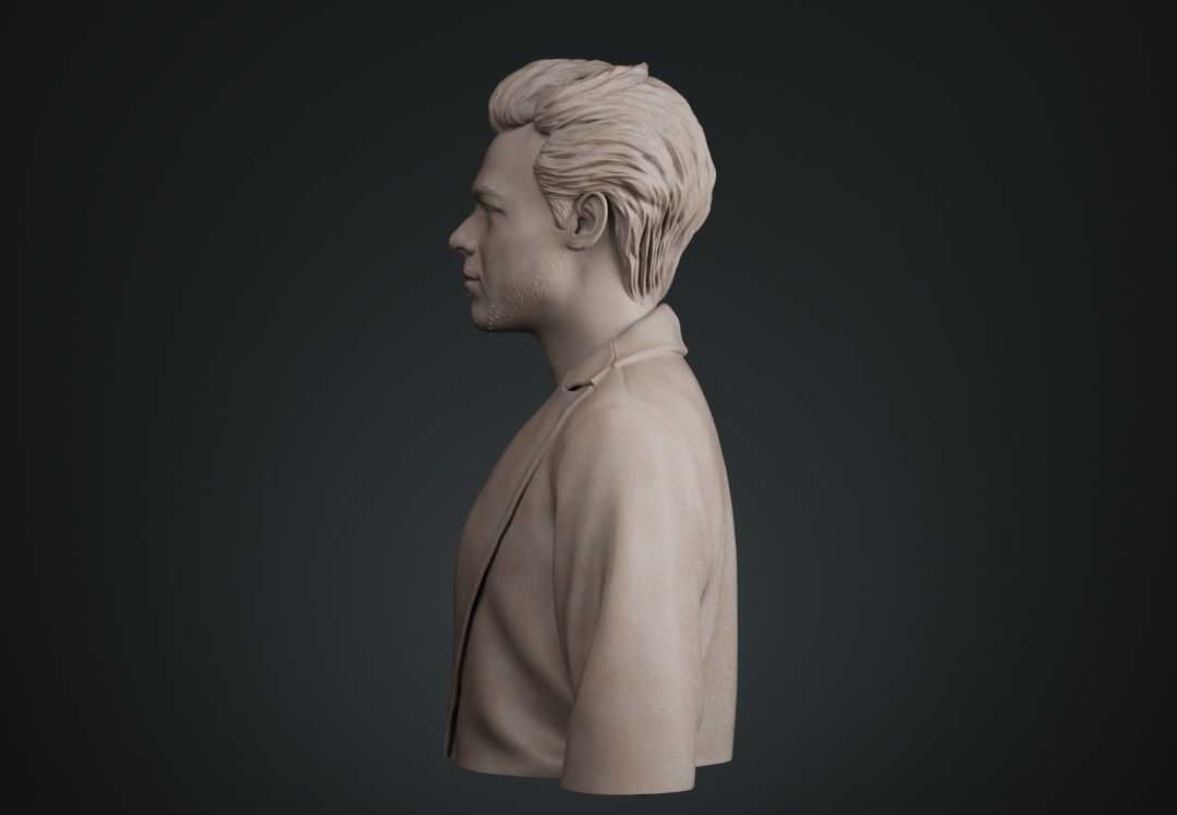 Harry Styles Bust 3D print model_2