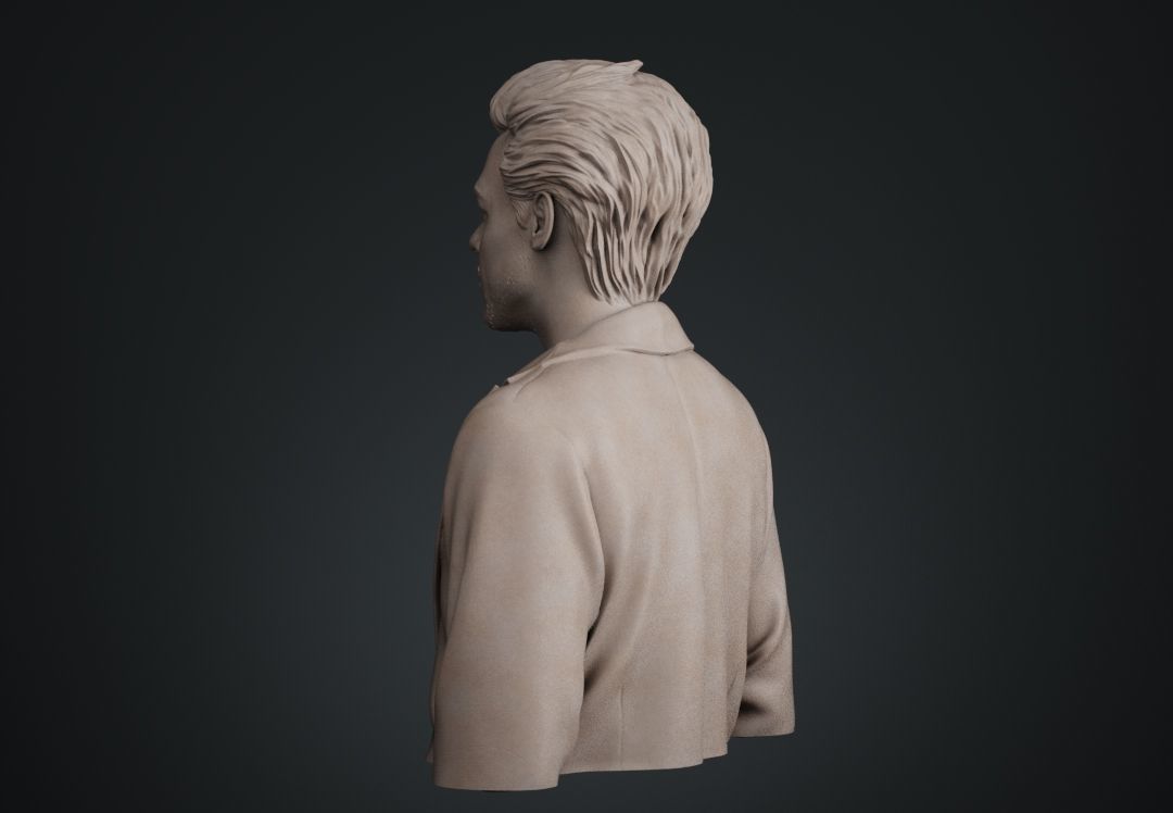 Harry Styles Bust 3D print model_13