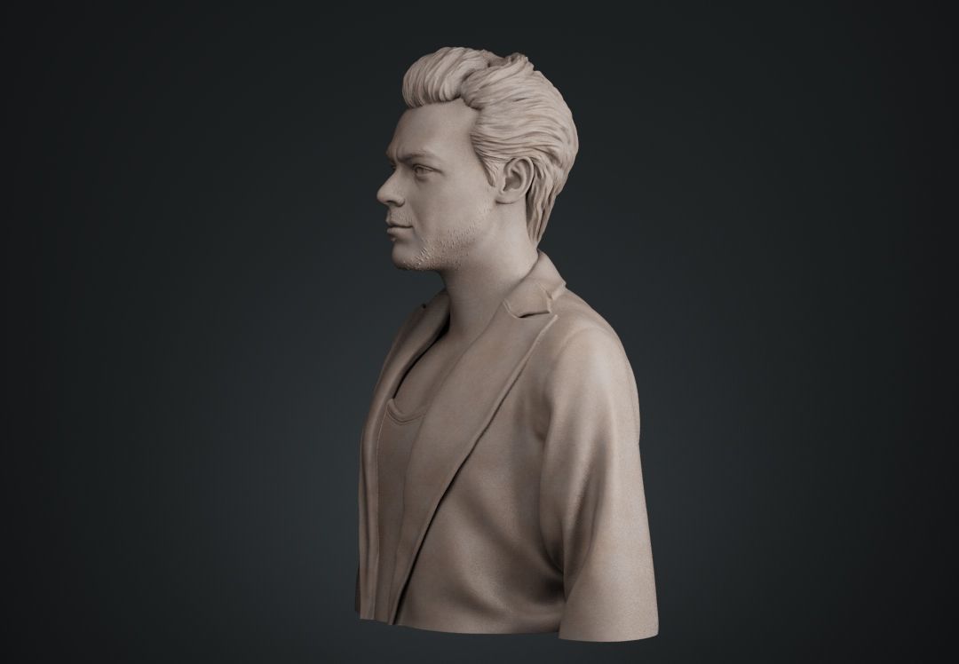 Harry Styles Bust 3D print model_3