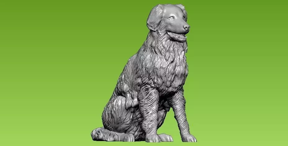 Dog collie - 3D print - statue 3D print model_0
