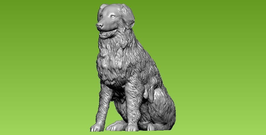 Dog collie - 3D print - statue 3D print model_3