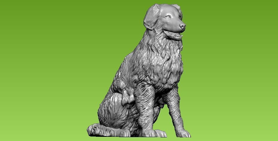 Dog collie - 3D print - statue 3D print model_1