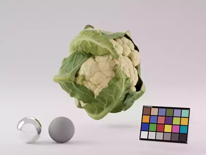 Cauliflower Photoscan 3D model