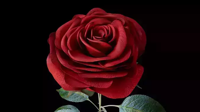 Red Rose 3D model