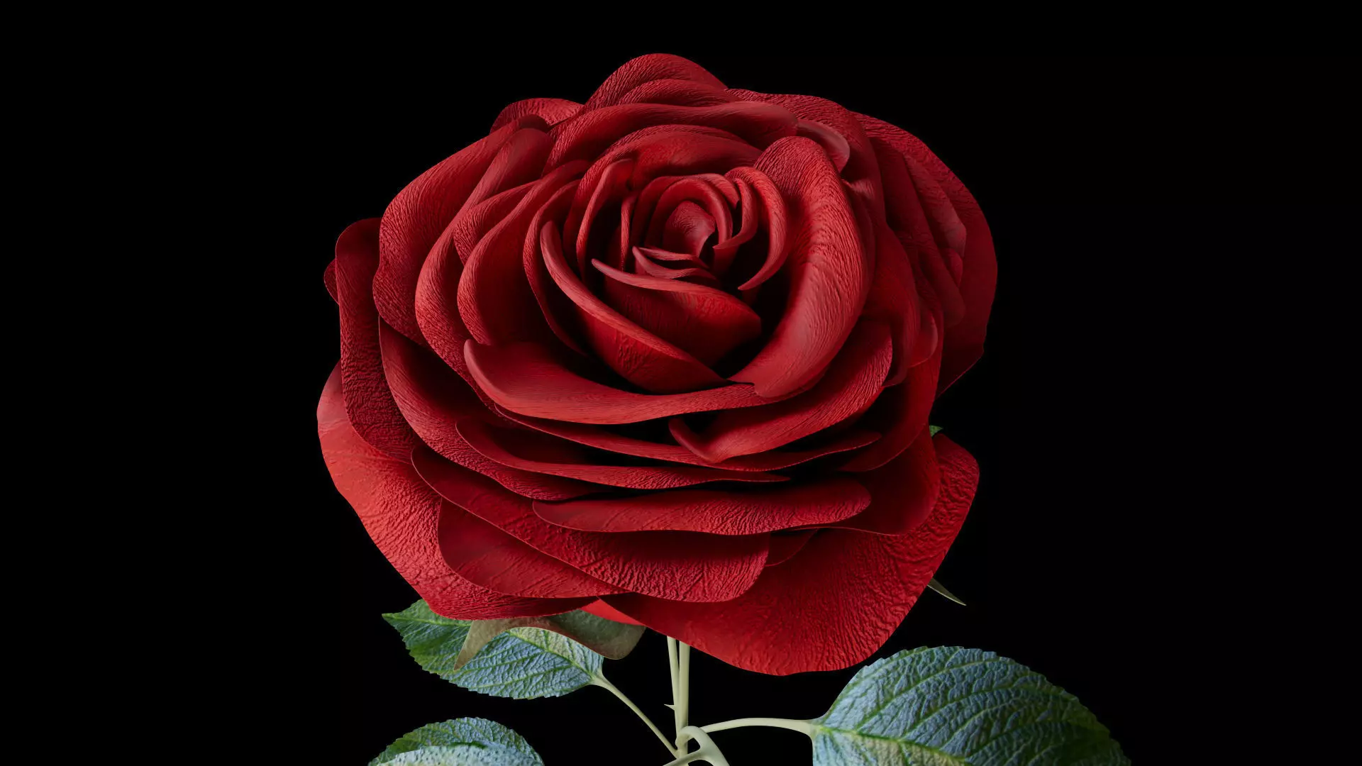 Red Rose 3D model