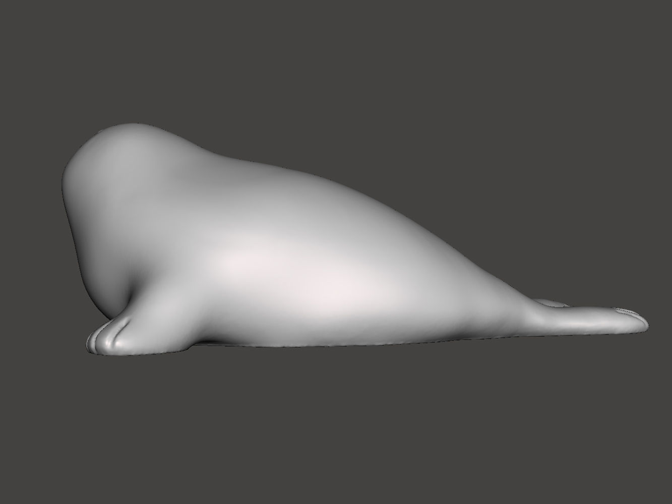 Seal pup 3D print model_6