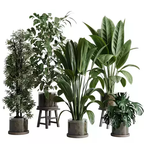 indoor plant 559 pot plant bamboo tree glase vase