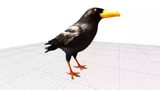 Black Raven Crow Low-poly 3D model