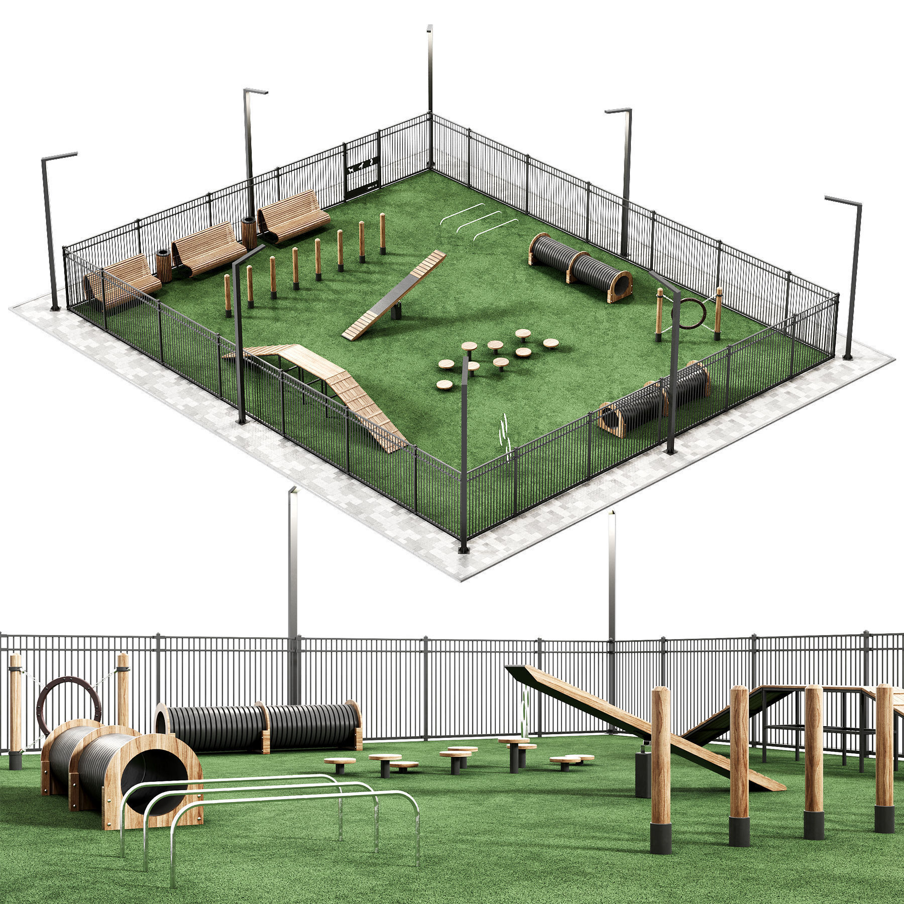 Dog walking area gym 3D model_1