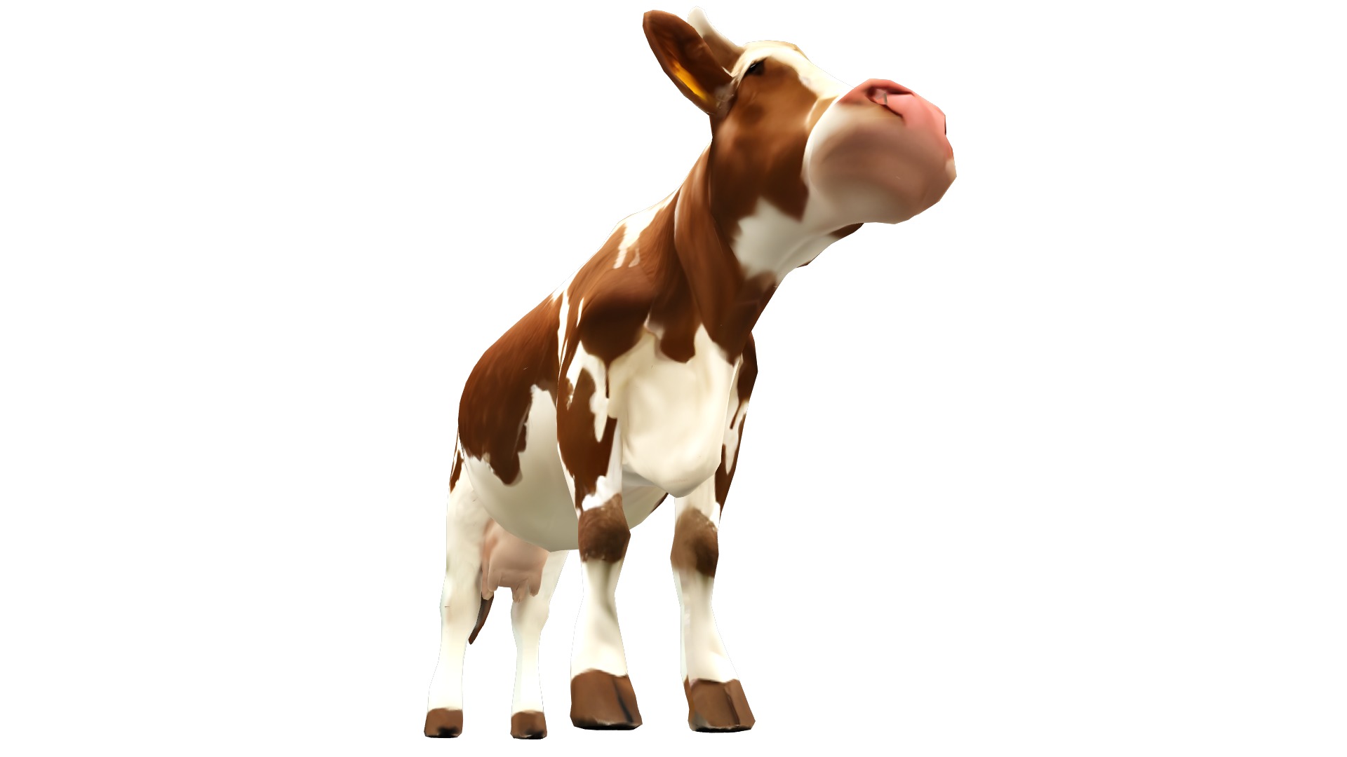 Cow Lowpoly Realistic Low-poly 3D model_6