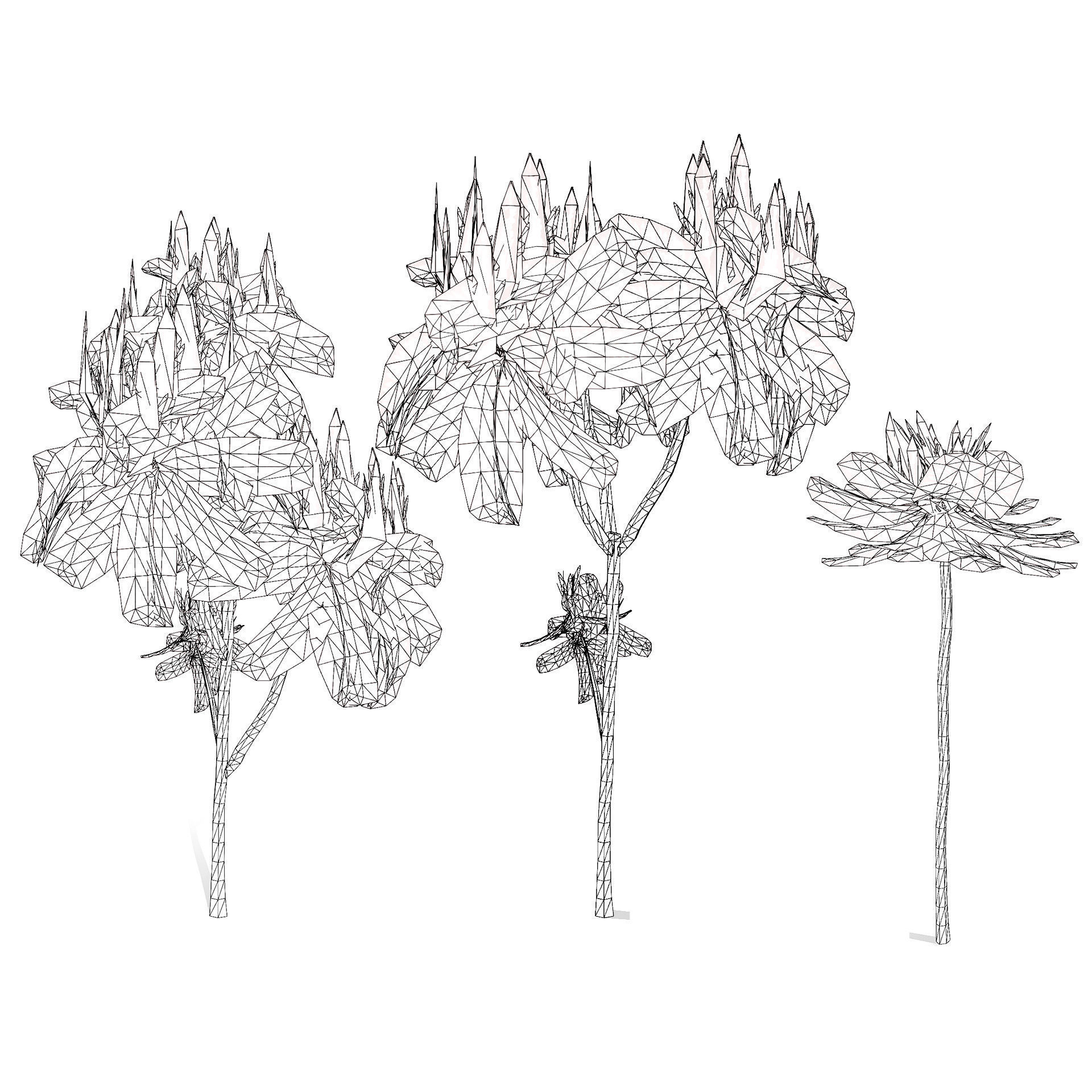 Brazilian Firetree 3D Model Low-poly 3D model_12