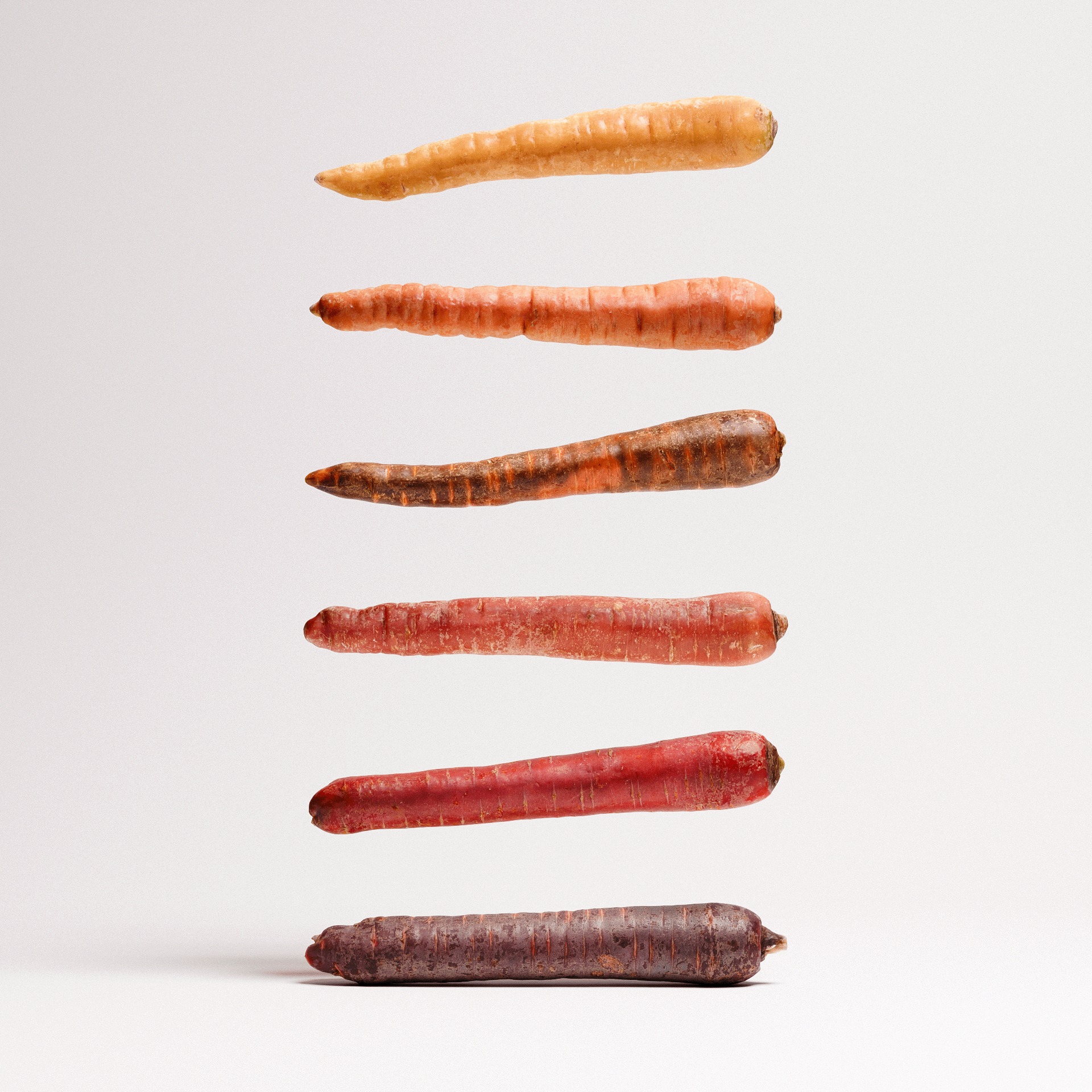 Carrots Set 01 Low-poly 3D model_1