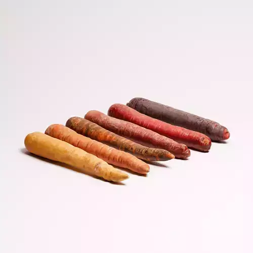 Carrots Set 01 Low-poly 3D model