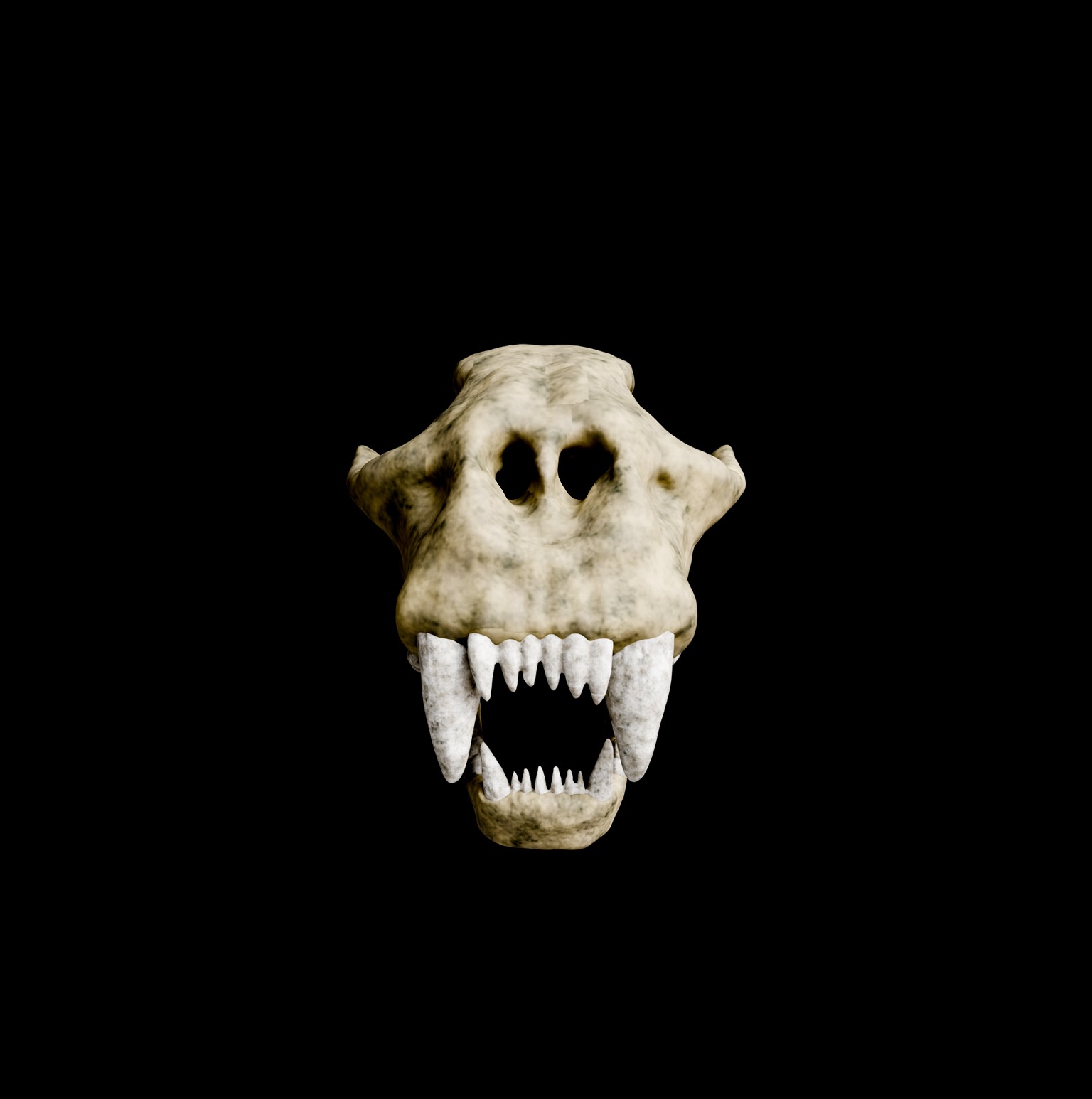 Animal skull 3D model_9