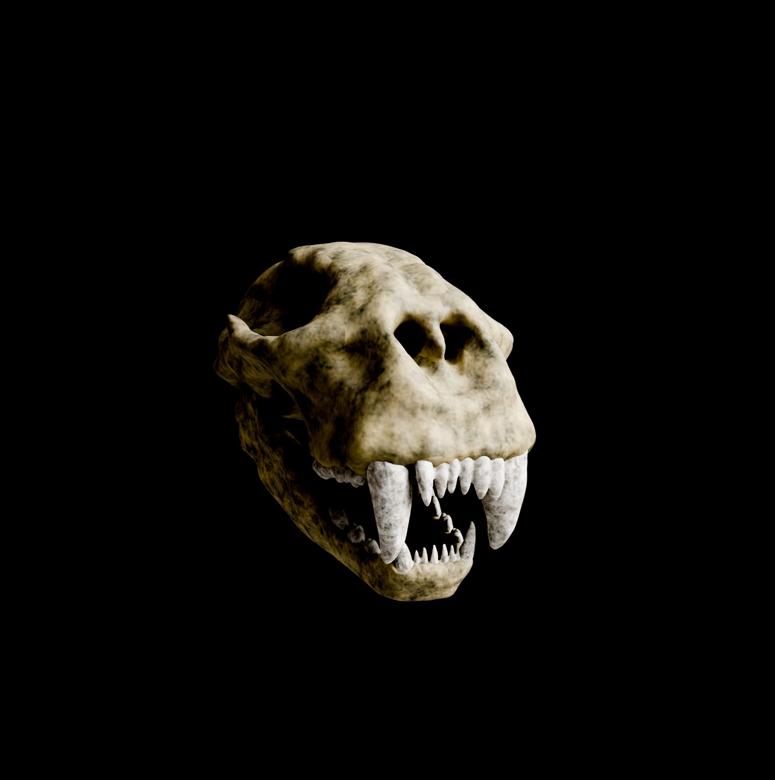 Animal skull 3D model_14