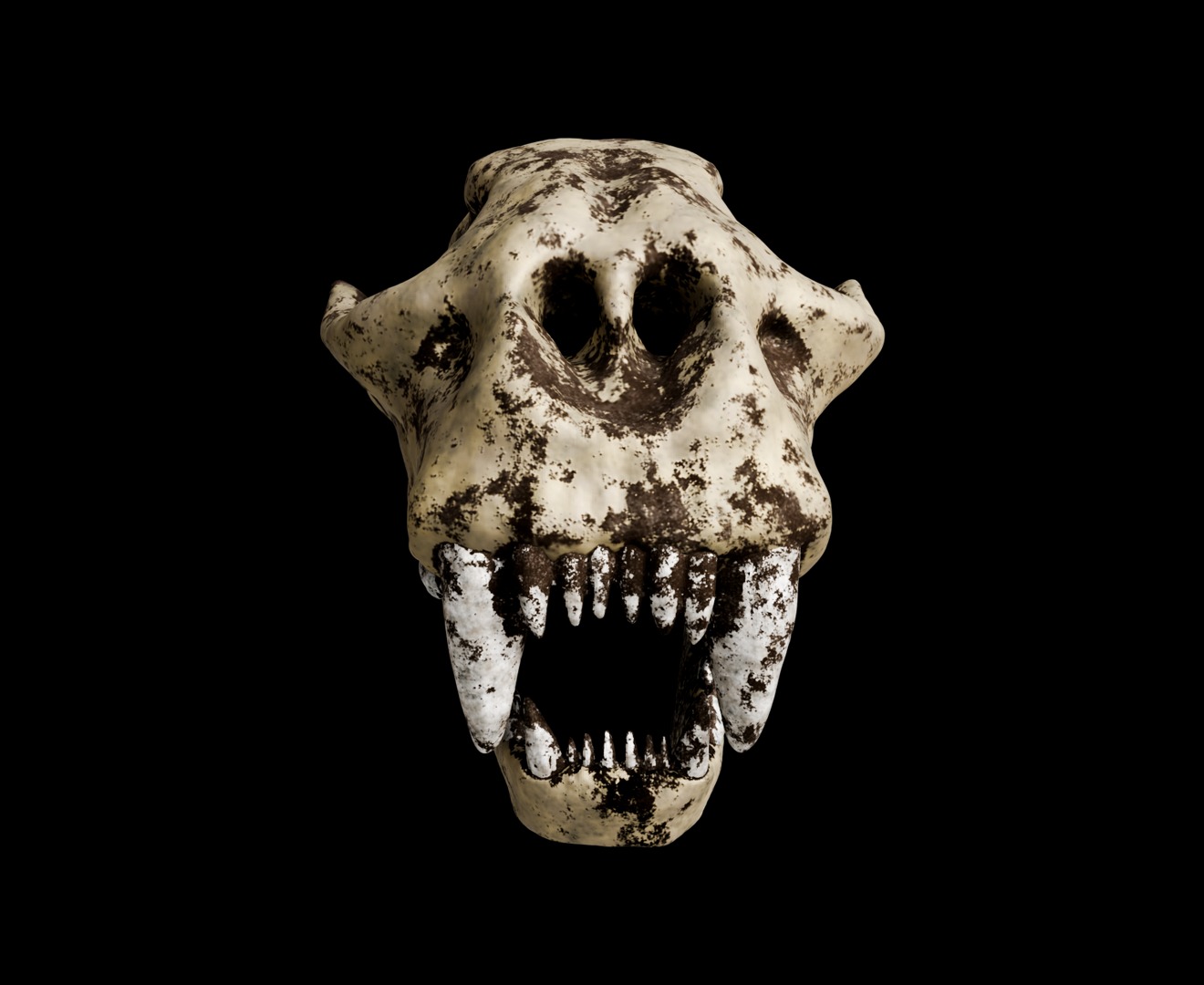 Animal skull 3D model_22