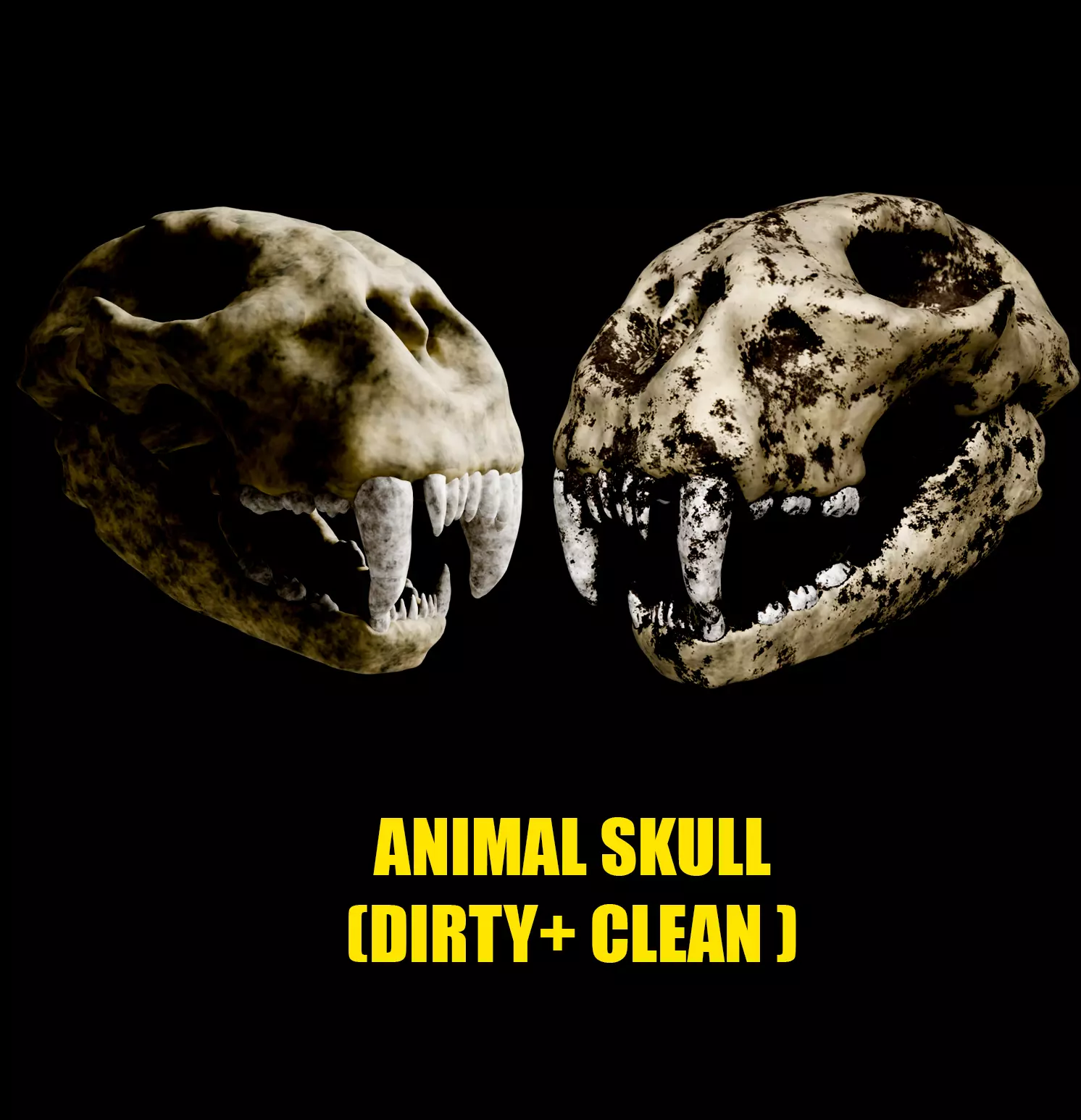 Animal skull 3D model_0