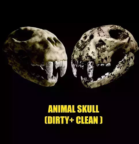 Animal skull 3D model