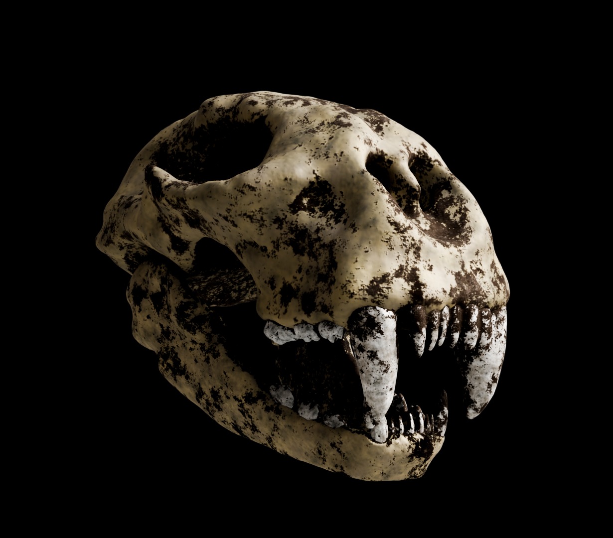 Animal skull 3D model_16