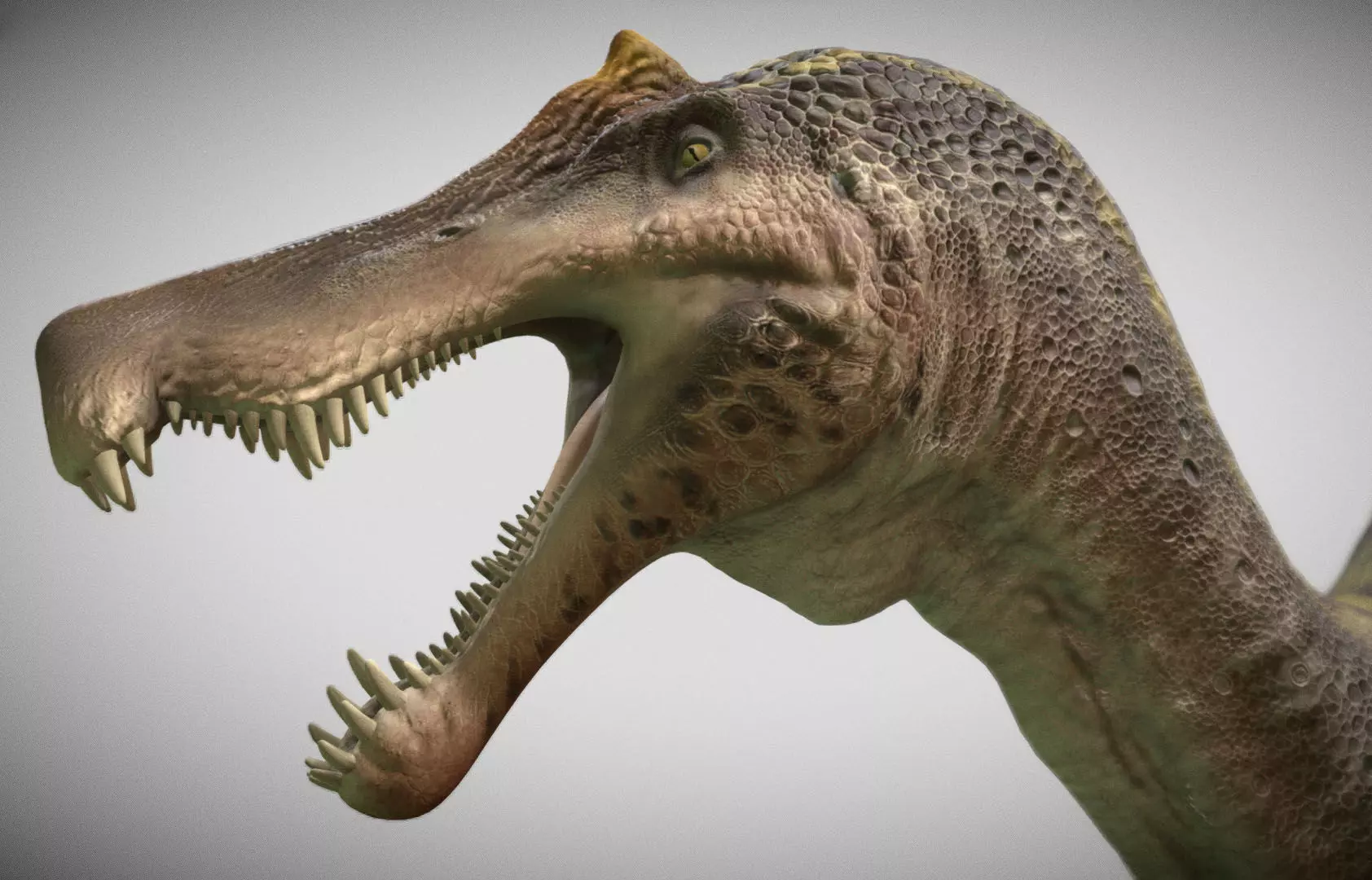 Spinosaurus 2023 Low-poly 3D model_0