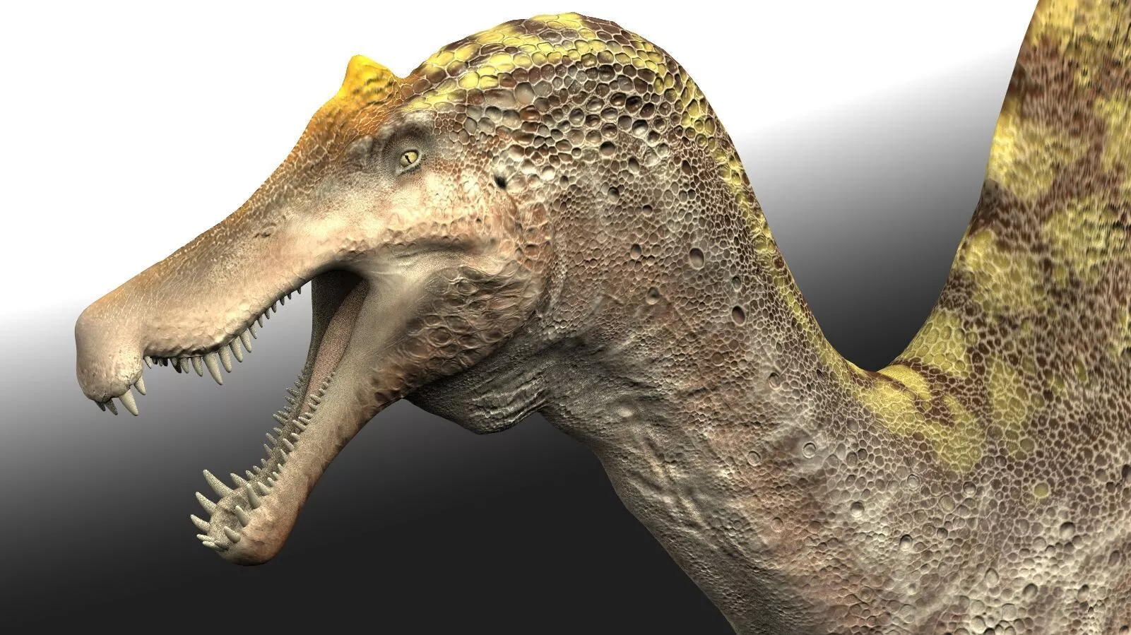 Spinosaurus 2023 Low-poly 3D model