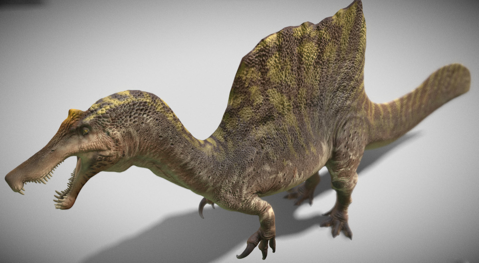 Spinosaurus 2023 Low-poly 3D model_10