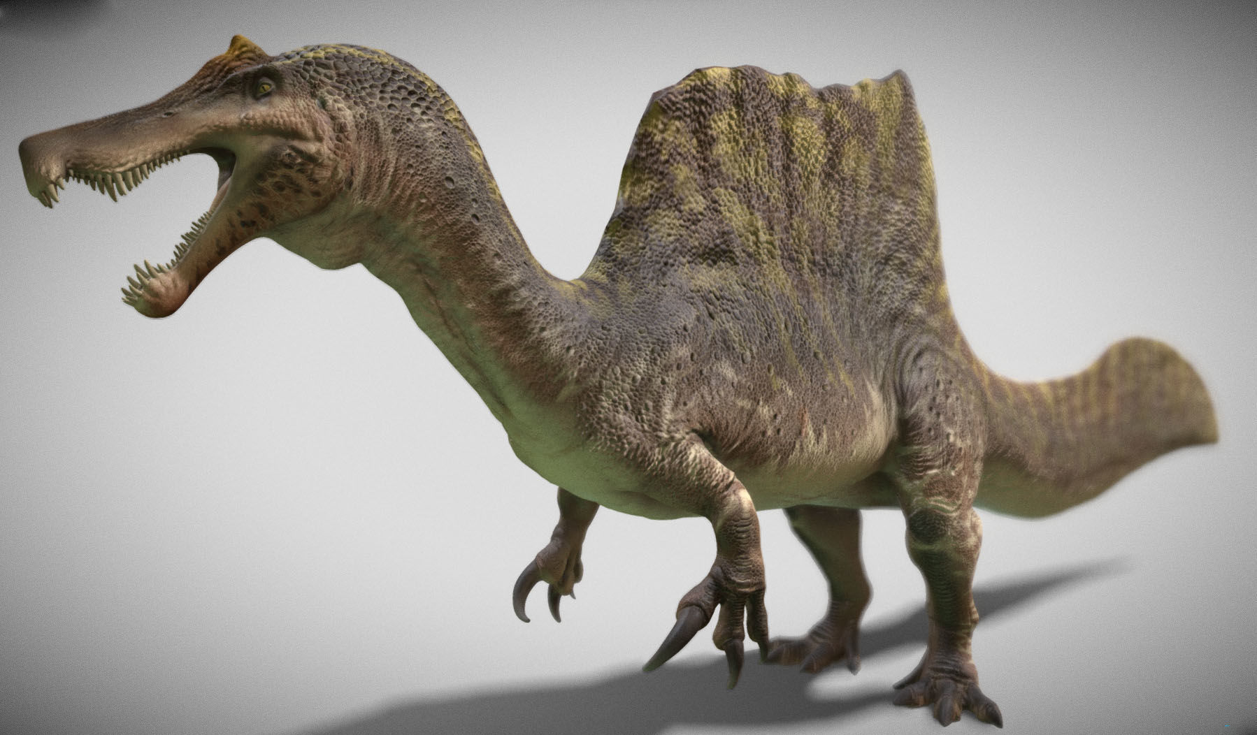 Spinosaurus 2023 Low-poly 3D model_2