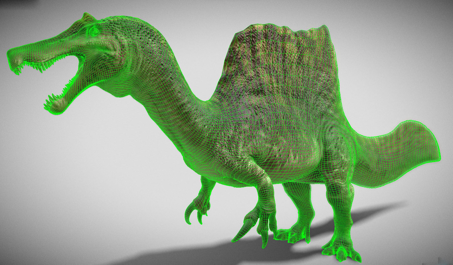 Spinosaurus 2023 Low-poly 3D model_3
