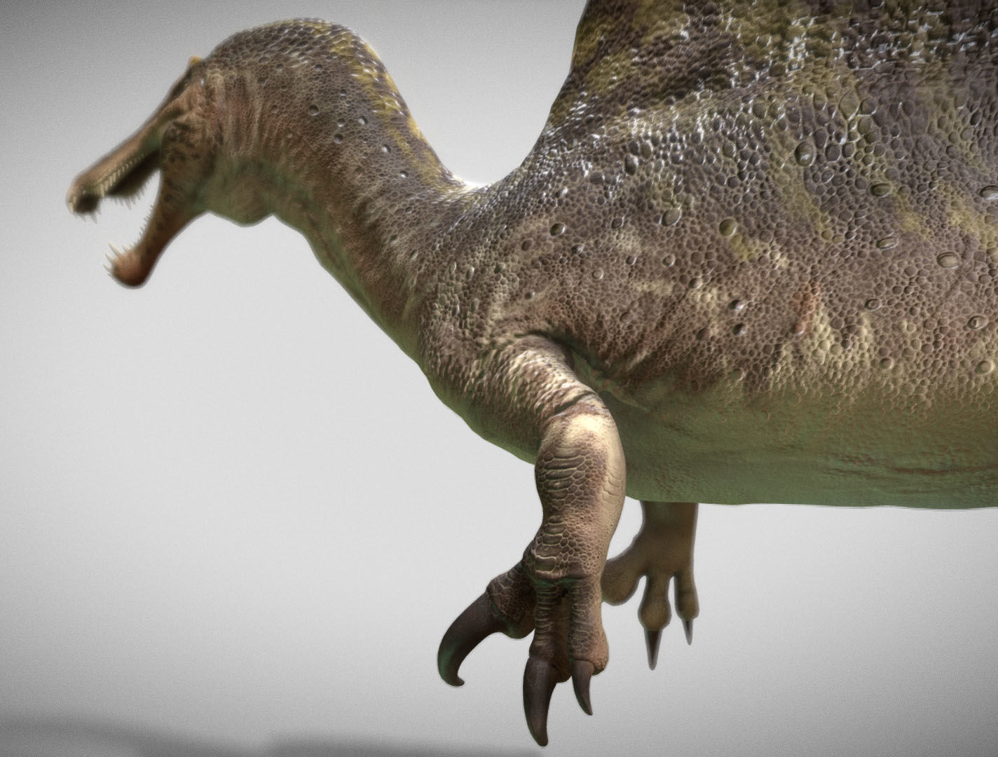 Spinosaurus 2023 Low-poly 3D model_7