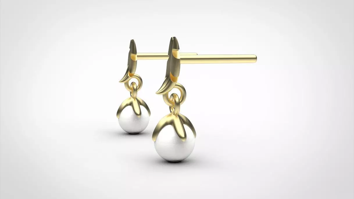 Earrings Free 3D print model