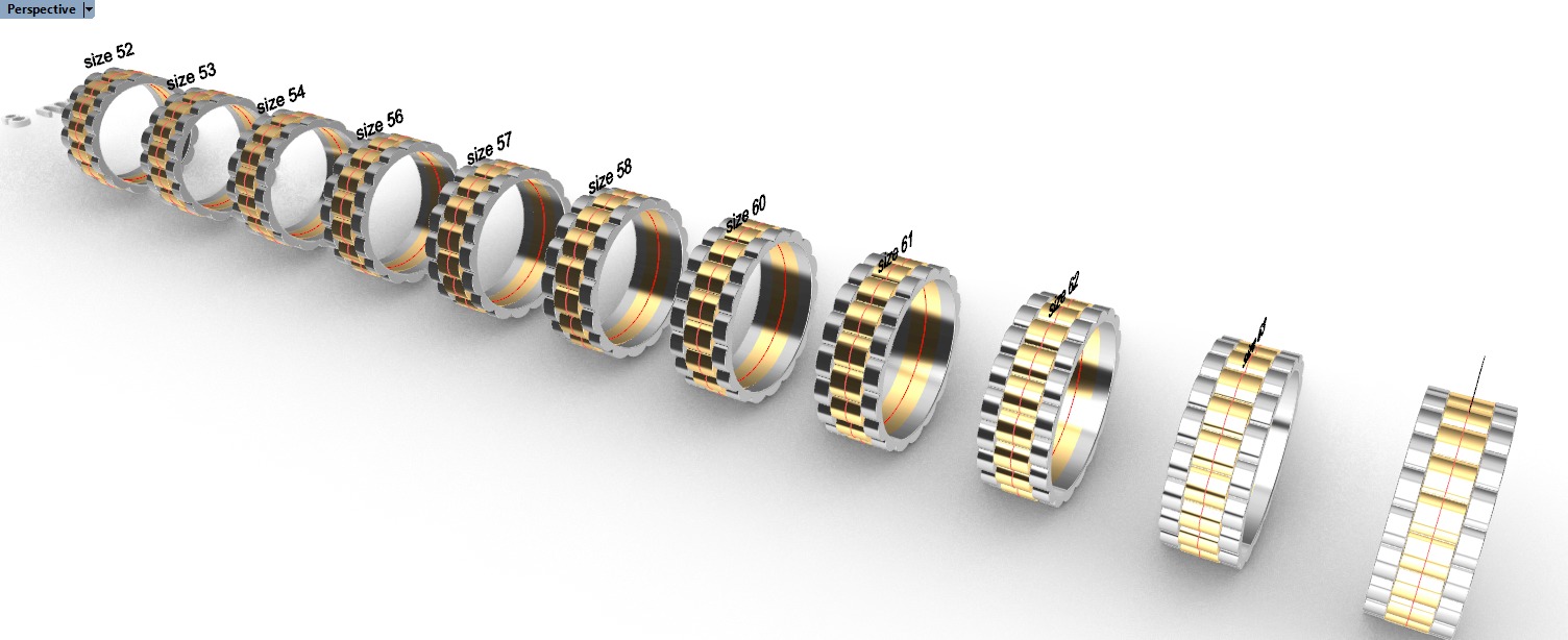 wideng ring two tone 8mm wide size 52 3D print model_2