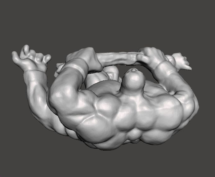 MUTANT LUCHADOR WRESTLER MINIATURE FIGURE FANTASY HORROR RPG DND 3D print model_6