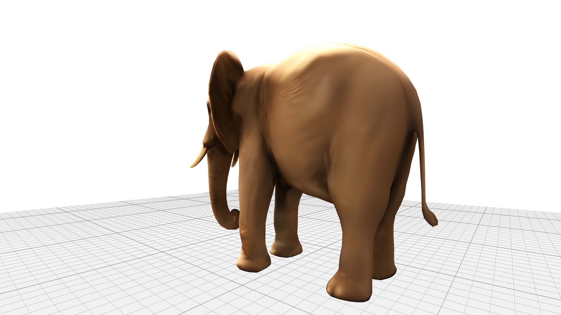 Elephant Realistic Lowpoly Low-poly 3D model_2