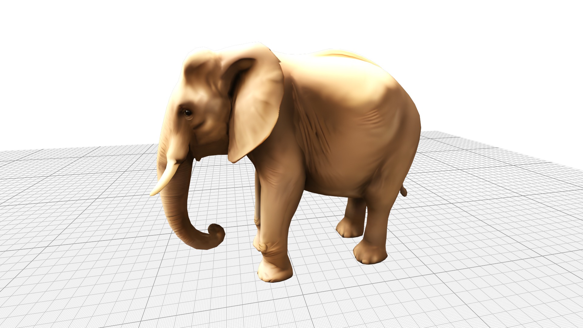 Elephant Realistic Lowpoly Low-poly 3D model_1