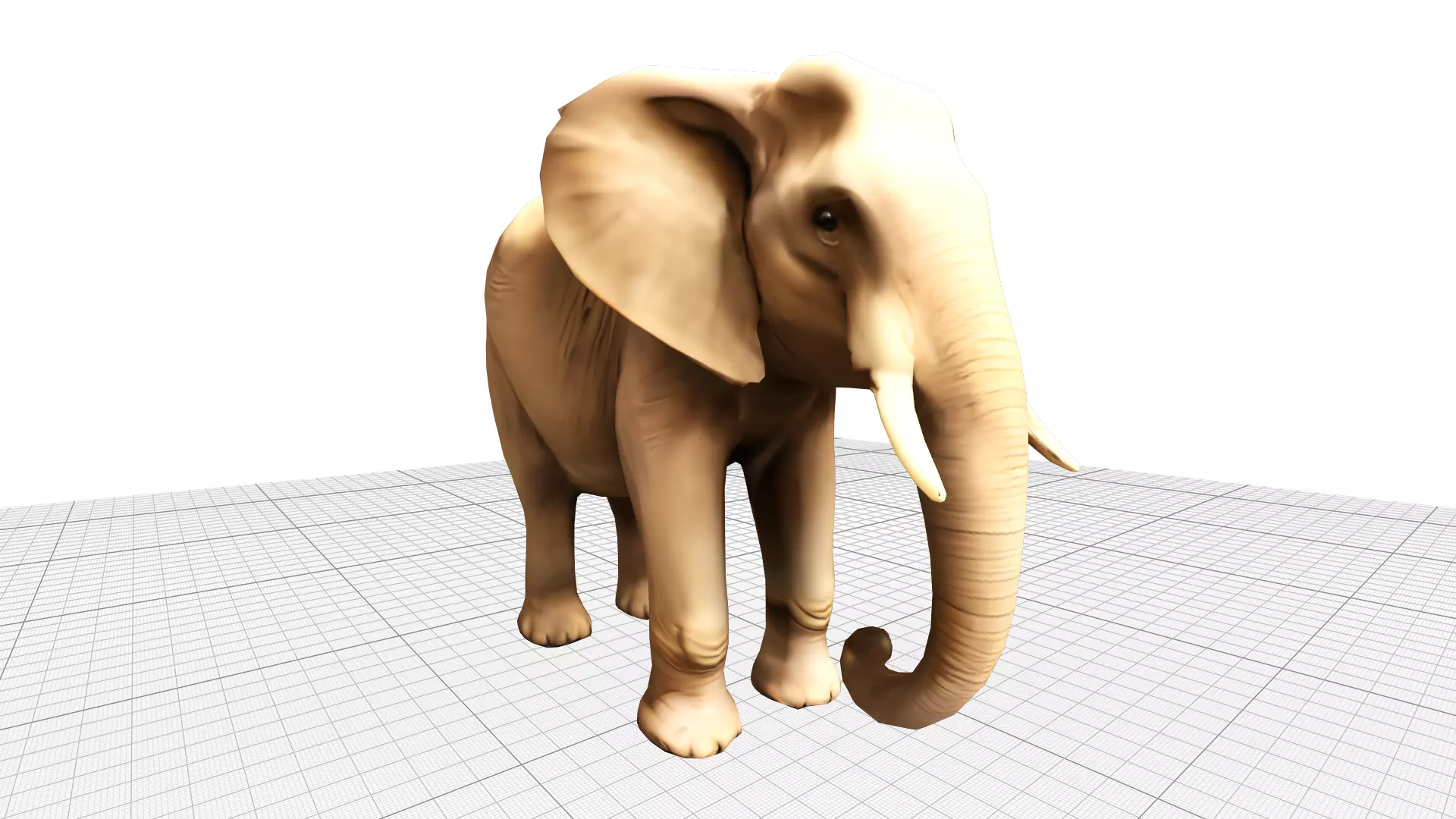 Elephant Realistic Lowpoly Low-poly 3D model_0