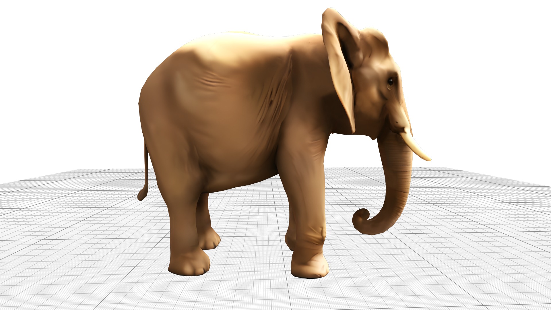 Elephant Realistic Lowpoly Low-poly 3D model_4