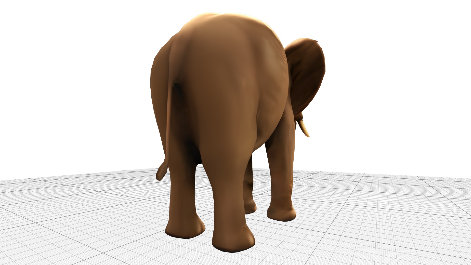 Elephant Realistic Lowpoly Low-poly 3D model_3