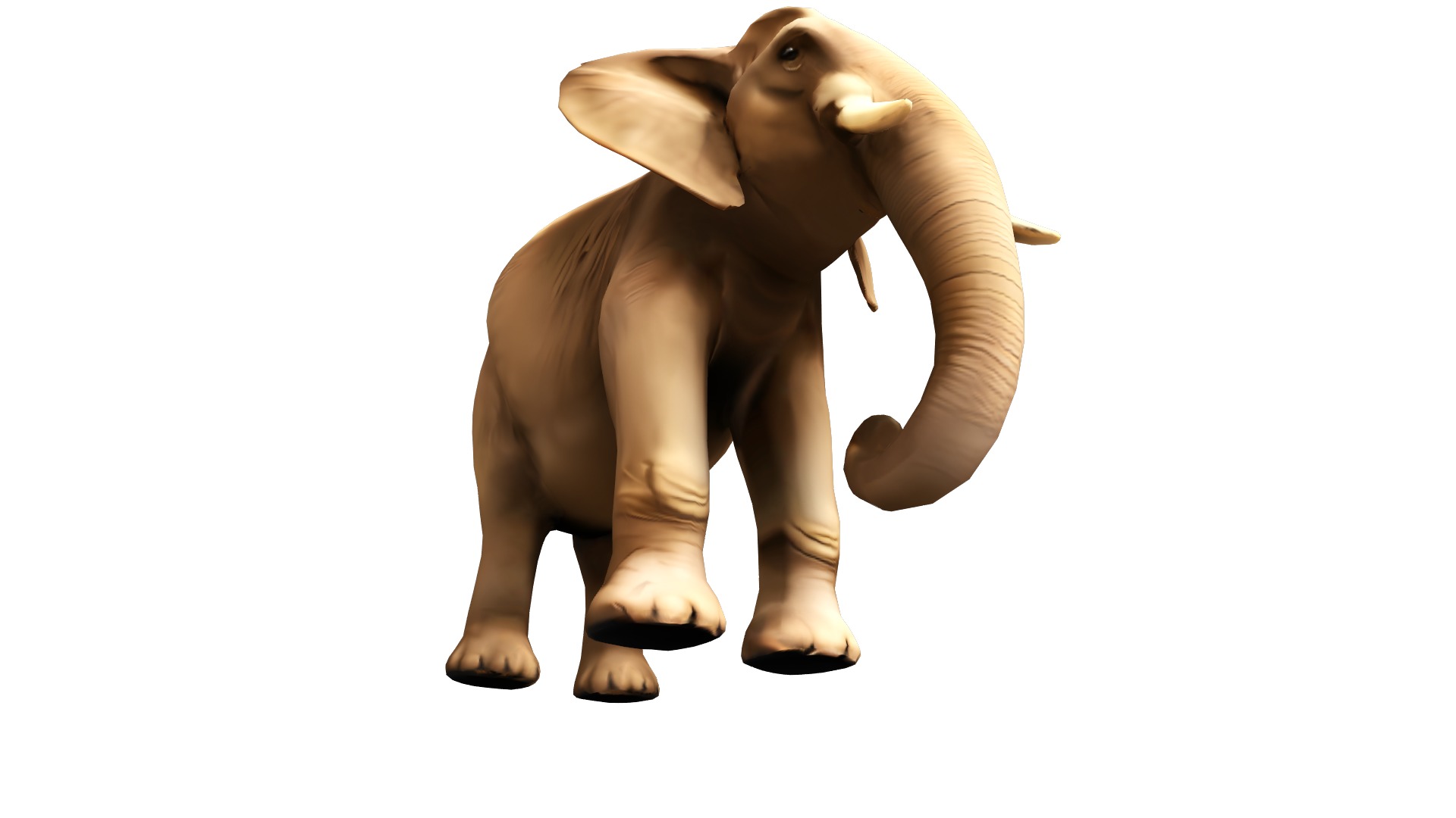 Elephant Realistic Lowpoly Low-poly 3D model_5
